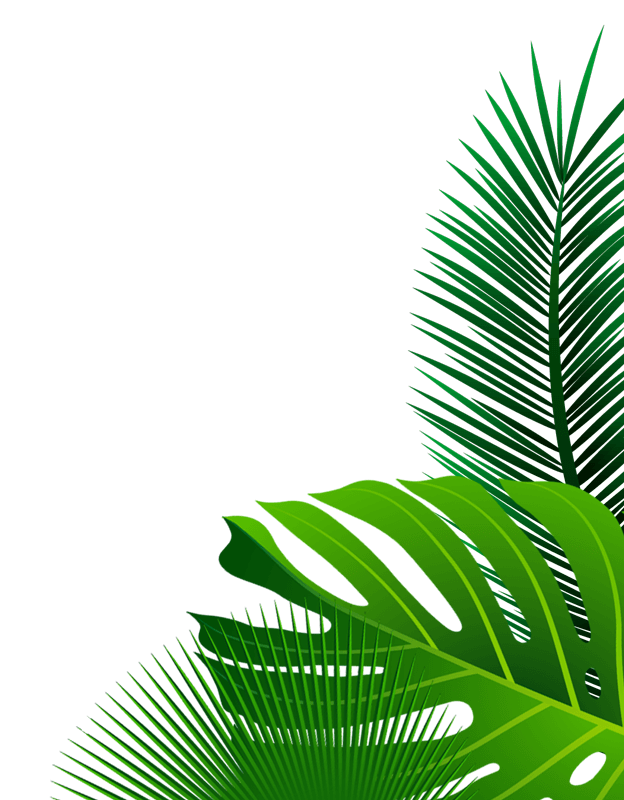 NOVARK VET HEALTH INC.