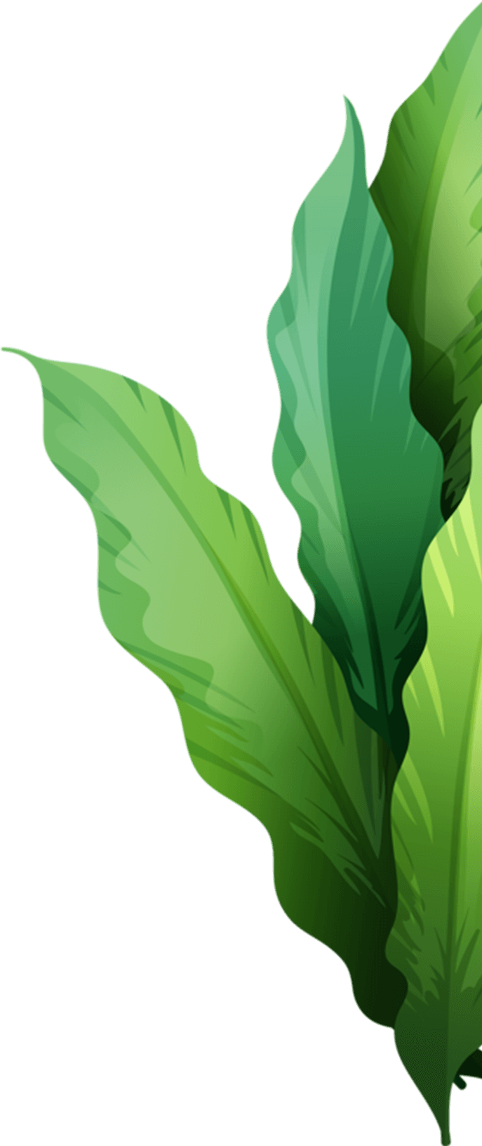 NOVARK VET HEALTH INC.