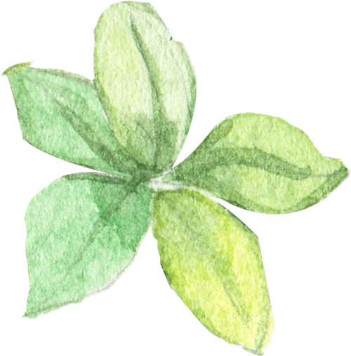 NOVARK VET HEALTH INC.