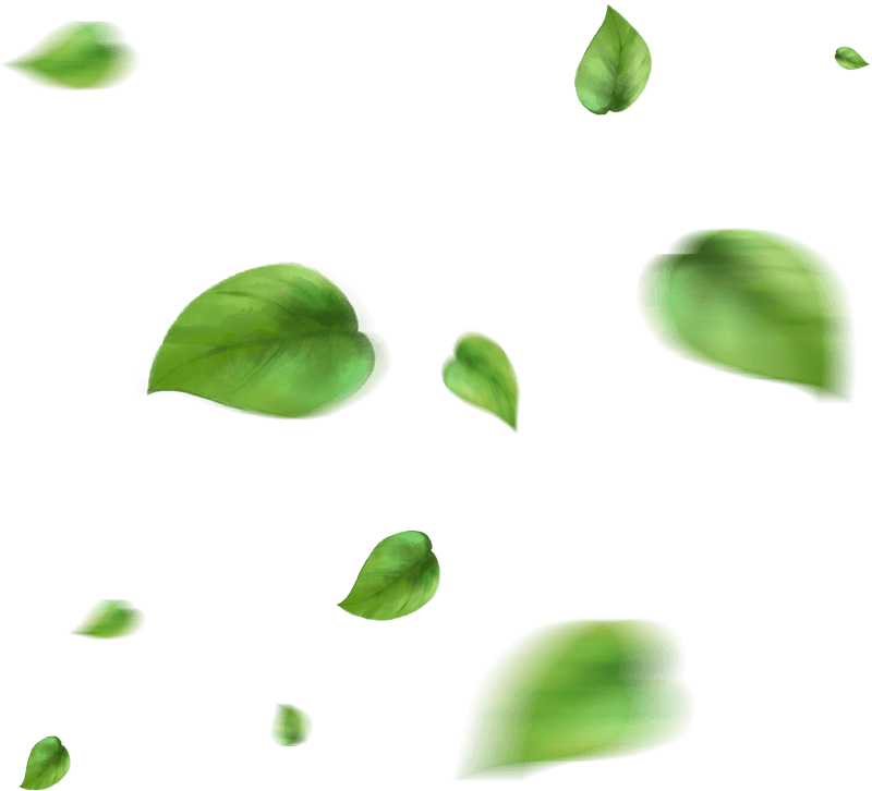 NOVARK VET HEALTH INC.